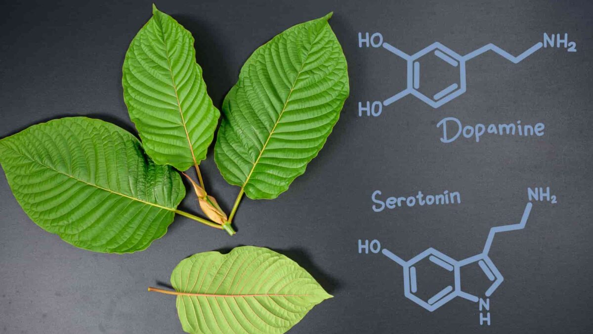 The potential effects of Kratom on serotonin and dopamine levels according to research.