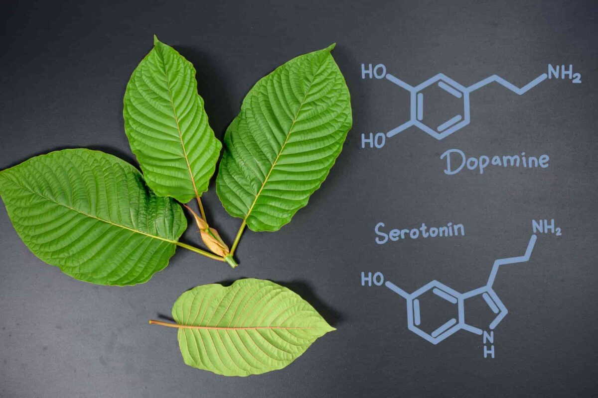 The potential effects of Kratom on serotonin and dopamine levels according to research.