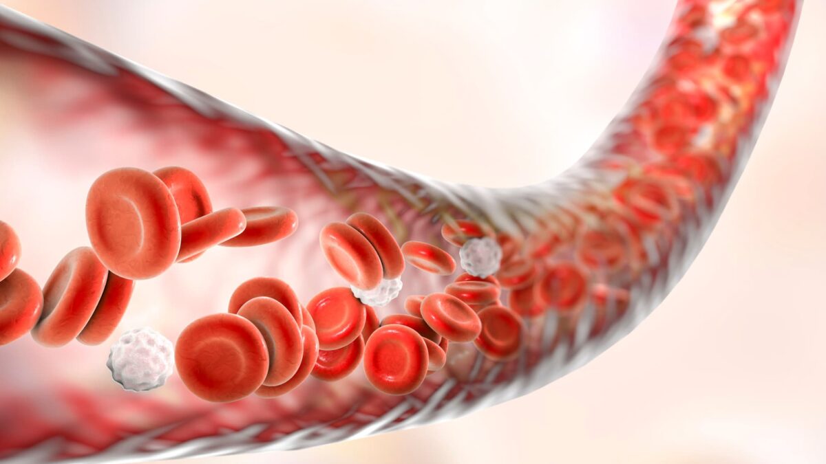 Vasodilation and Blood Flow Enhancement as an effect of Ajmalicine