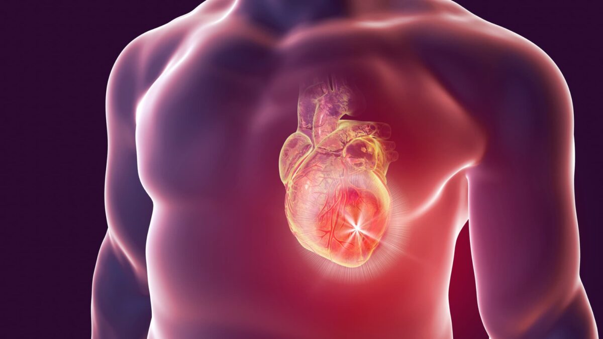 Isorhycnchophylline can act as Cardiovascular protection